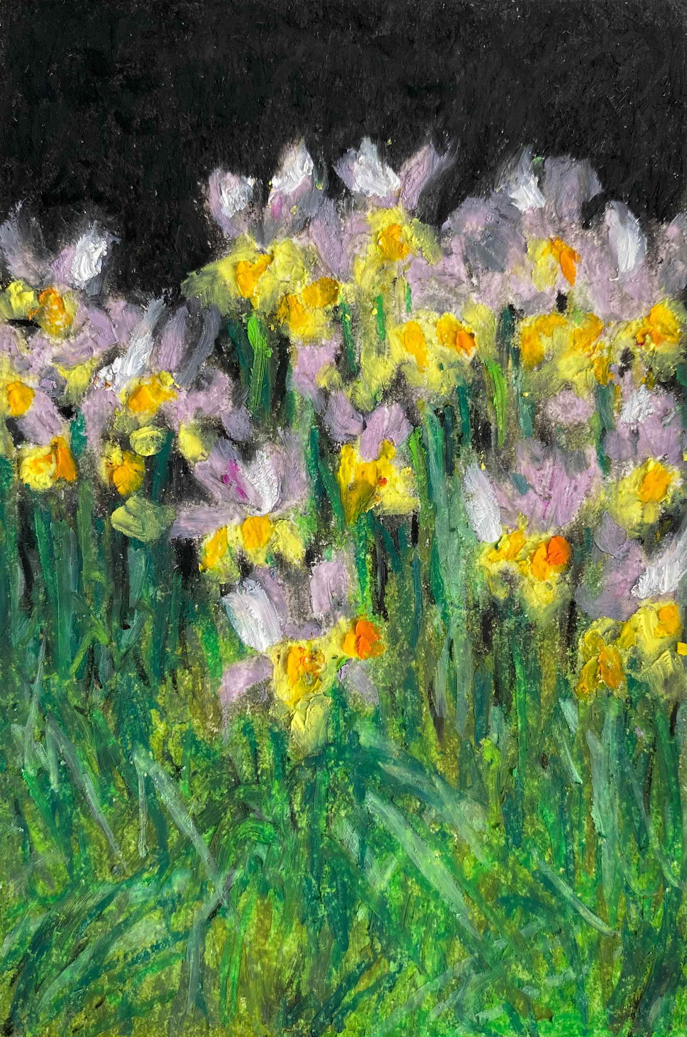 Neighbour's Irises At Night